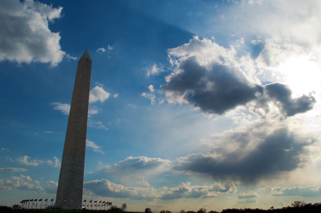 Cherry blossoms and the Washington Monument · 05