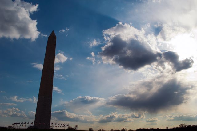 Cherry blossoms and the Washington Monument · 06